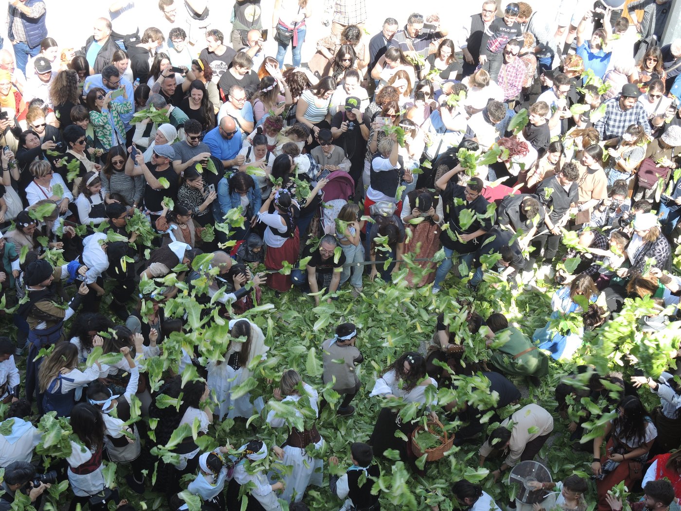 Batalla de lechugas
